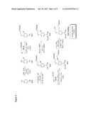 METHODS OF USING MACROCYCLIC INHIBITORS OF SERINE PROTEASE ENZYMES diagram and image