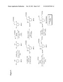 METHODS OF USING MACROCYCLIC INHIBITORS OF SERINE PROTEASE ENZYMES diagram and image