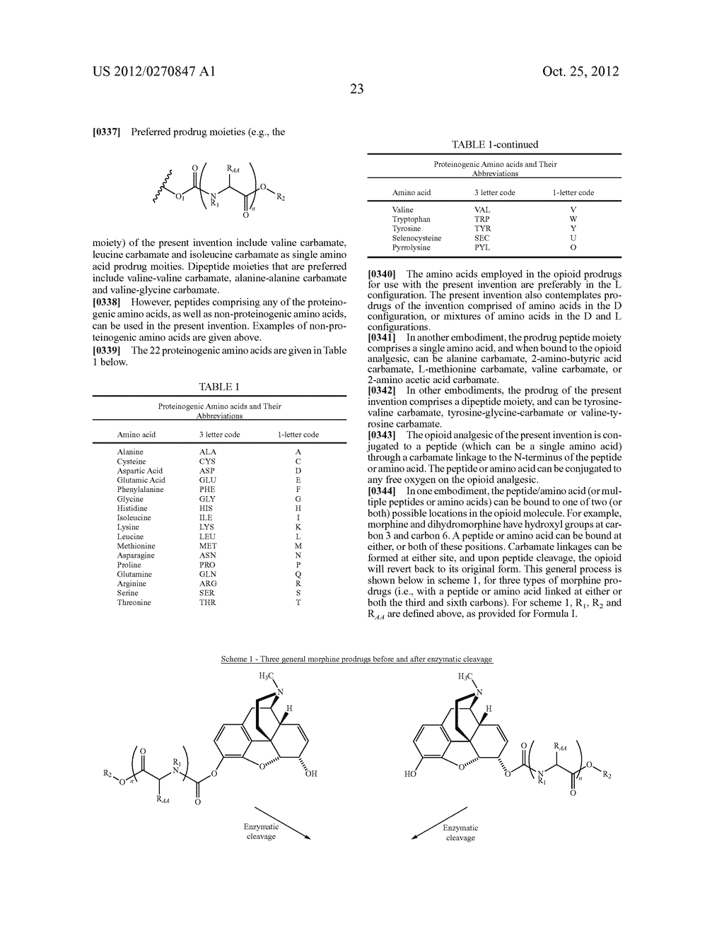 NOVEL CARBAMATE AMINO ACID AND PEPTIDE PRODRUGS OF OPIATES AND USES     THEREOF - diagram, schematic, and image 24
