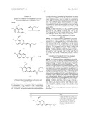 IRE-1alpha INHIBITORS diagram and image