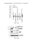 NATRIURETIC PEPTIDE RECEPTOR AS A BIOMARKER FOR DIAGNOSIS AND PROGNOSIS OF     CANCER diagram and image