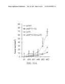 NATRIURETIC PEPTIDE RECEPTOR AS A BIOMARKER FOR DIAGNOSIS AND PROGNOSIS OF     CANCER diagram and image