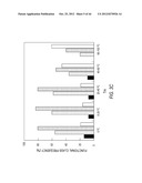 siRNA Targeting Apoliprotein (APOB) diagram and image