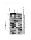 siRNA Targeting Apoliprotein (APOB) diagram and image