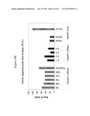 siRNA Targeting Apoliprotein (APOB) diagram and image