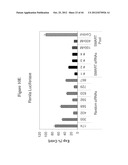 siRNA Targeting Apoliprotein (APOB) diagram and image