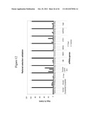 siRNA Targeting Apoliprotein (APOB) diagram and image