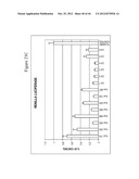 siRNA Targeting Apoliprotein (APOB) diagram and image