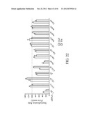 siRNA Targeting Apoliprotein (APOB) diagram and image