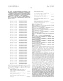 siRNA Targeting Apoliprotein (APOB) diagram and image