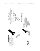 HIGH AFFINITY ADAPTOR MOLECULES FOR REDIRECTING ANTIBODY SPECIFITY diagram and image