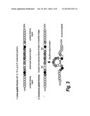 HIGH AFFINITY ADAPTOR MOLECULES FOR REDIRECTING ANTIBODY SPECIFITY diagram and image