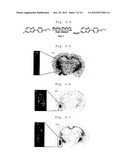 NOVEL COMPOUND HAVING AFFINITY FOR AMYLOID diagram and image