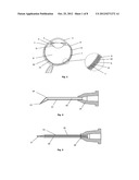 DEVICE FOR OCULAR ACCESS diagram and image