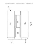 METHOD AND APPARATUS FOR SPINAL FACET FUSION diagram and image