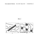 Functionalized Nanodiamond Reinforced Biopolymers diagram and image