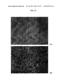 Functionalized Nanodiamond Reinforced Biopolymers diagram and image