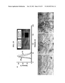 Functionalized Nanodiamond Reinforced Biopolymers diagram and image