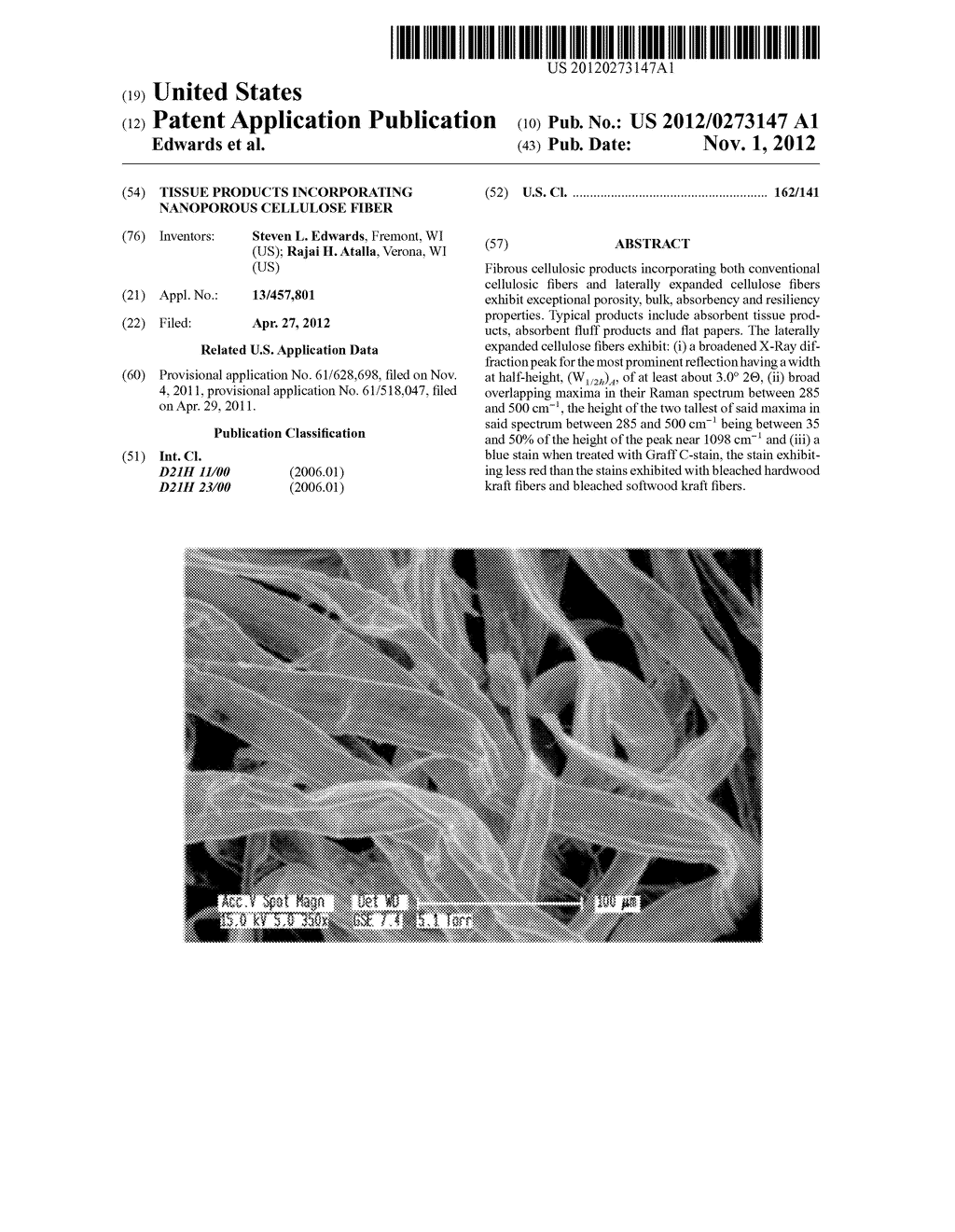 TISSUE PRODUCTS INCORPORATING NANOPOROUS CELLULOSE FIBER - diagram, schematic, and image 01