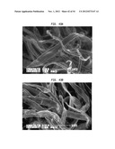 TISSUE PRODUCTS INCORPORATING NANOPOROUS CELLULOSE FIBER diagram and image
