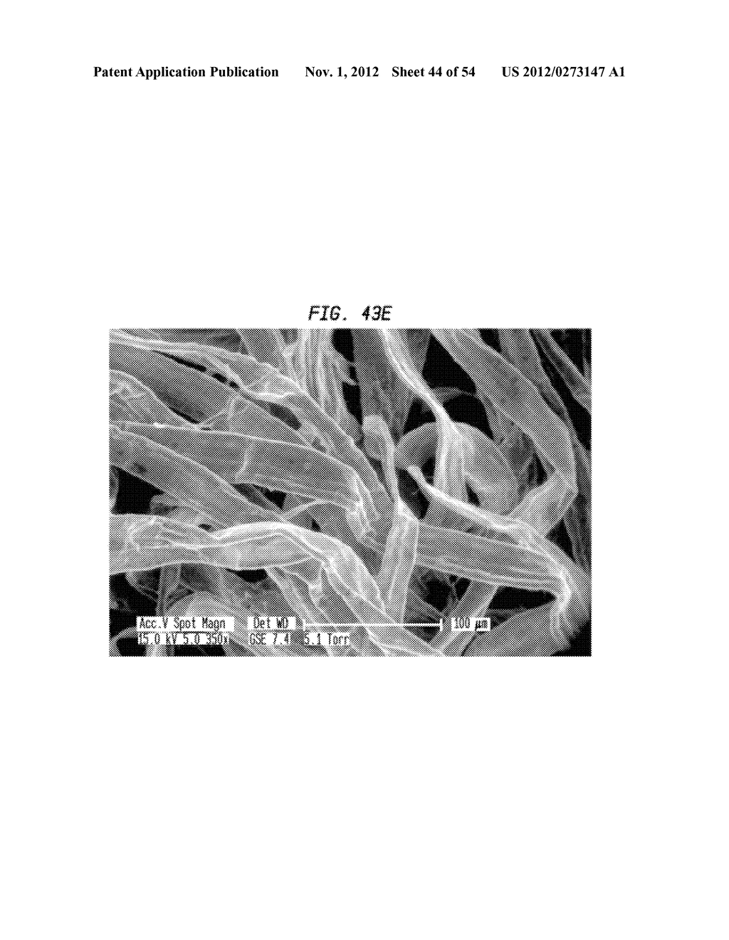 TISSUE PRODUCTS INCORPORATING NANOPOROUS CELLULOSE FIBER - diagram, schematic, and image 45