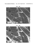 TISSUE PRODUCTS INCORPORATING NANOPOROUS CELLULOSE FIBER diagram and image