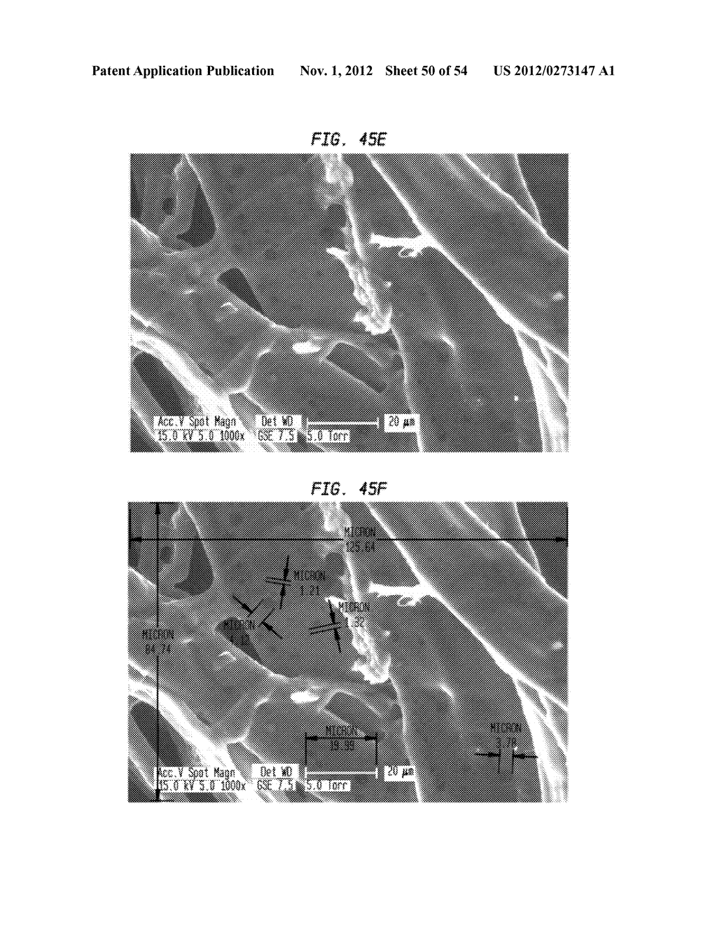 TISSUE PRODUCTS INCORPORATING NANOPOROUS CELLULOSE FIBER - diagram, schematic, and image 51