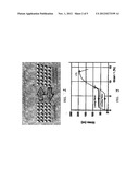 Nitinol Through Tubing Bridge Plug diagram and image