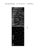 THREE-DIMENSIONAL COHERENT PLASMONIC NANOWIRE ARRAYS FOR ENHANCEMENT OF     OPTICAL PROCESSES diagram and image