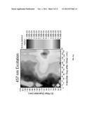 THREE-DIMENSIONAL COHERENT PLASMONIC NANOWIRE ARRAYS FOR ENHANCEMENT OF     OPTICAL PROCESSES diagram and image