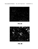 LiMPO4-based compositions of matter for cathodes for high-performance Li     batteries diagram and image