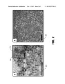 Nanocomposite and Method of Making Thereof diagram and image