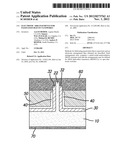 ELECTRONIC ARRANGEMENTS FOR PASSIVATED SILICON NANOWIRES diagram and image