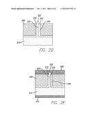 ELECTRONIC ARRANGEMENTS FOR PASSIVATED SILICON NANOWIRES diagram and image