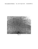 DEHYDROXYLATION PRETREATMENT OF INORGANIC MATERIALS IN MESOPORE     INTRODUCTION PROCESS diagram and image