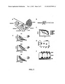 ONCOLYTIC RHABDOVIRUS diagram and image