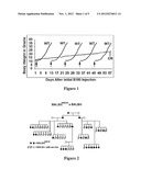 GENETICALLY DETERMINED MOUSE MODEL OF RESISTANCE TO TRANSPLANTABLE CANCERS diagram and image