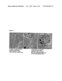 Optical in vivo Imaging Contrast Agents and Methods of Use diagram and image