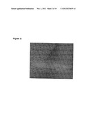 Optical in vivo Imaging Contrast Agents and Methods of Use diagram and image