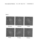 Optical in vivo Imaging Contrast Agents and Methods of Use diagram and image