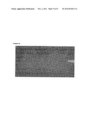 Optical in vivo Imaging Contrast Agents and Methods of Use diagram and image