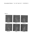 Optical in vivo Imaging Contrast Agents and Methods of Use diagram and image