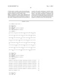 THERAPEUTIC RIBONUCLEASES diagram and image