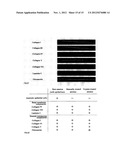 SHEET-LIKE COMPOSITION diagram and image