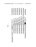 IMMUNOGLOBULIN FUSION PROTEINS diagram and image