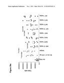 METHODS OF TREATMENT UTILIZIING BINDING PROTEINS OF THE INTERLEUKIN-21     RECEPTOR diagram and image