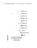 METHODS OF TREATMENT UTILIZIING BINDING PROTEINS OF THE INTERLEUKIN-21     RECEPTOR diagram and image