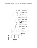 METHODS OF TREATMENT UTILIZIING BINDING PROTEINS OF THE INTERLEUKIN-21     RECEPTOR diagram and image