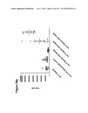 METHODS OF TREATMENT UTILIZIING BINDING PROTEINS OF THE INTERLEUKIN-21     RECEPTOR diagram and image