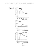 METHODS OF TREATMENT UTILIZIING BINDING PROTEINS OF THE INTERLEUKIN-21     RECEPTOR diagram and image